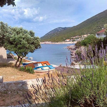 Apartments Sonija Gdinj Εξωτερικό φωτογραφία