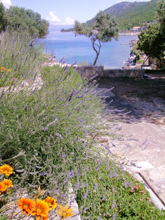 Apartments Sonija Gdinj Εξωτερικό φωτογραφία