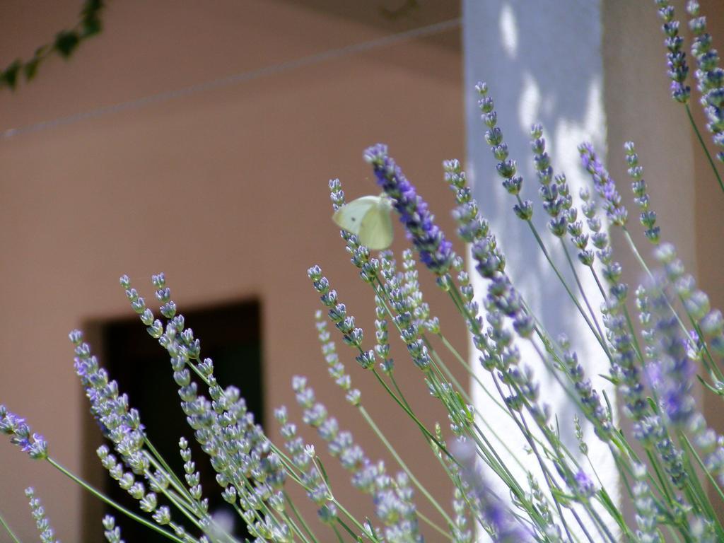 Apartments Sonija Gdinj Εξωτερικό φωτογραφία